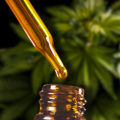 Why is cbd so much more expensive?